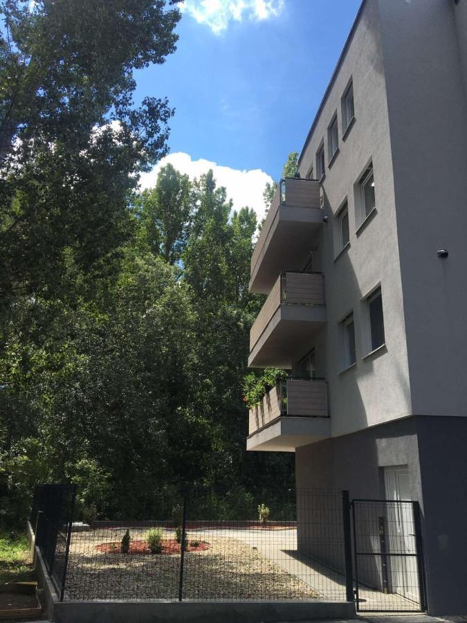 Thermal Forest Apartment 基什孔豪洛什 外观 照片