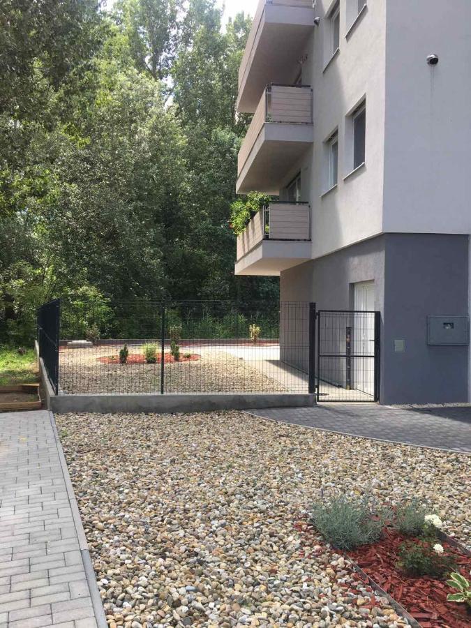 Thermal Forest Apartment 基什孔豪洛什 外观 照片